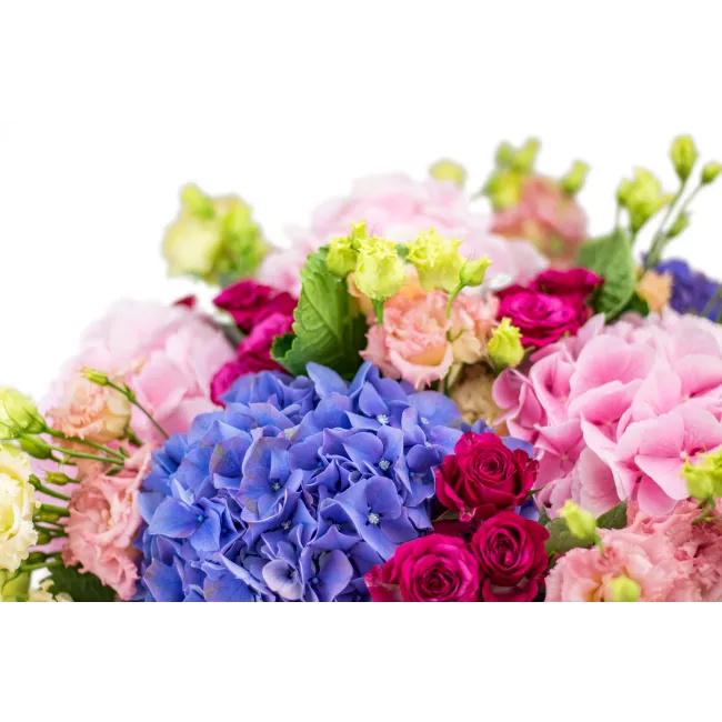 Bouquet of Hydrangeas and Spray Roses